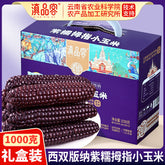 Purple Glutinous Corn Gift Box – Yunnan Specialty Sweet & Soft Corn