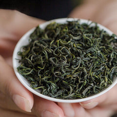 125g/4.4oz High Mountain Grüner Tee Yunwu Maojian Grüner Tee als loses Blatt