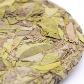 HelloYoung White Tea Natural Ancient Tree Golden Leaf Tea 300g Premium China Mint Aroma