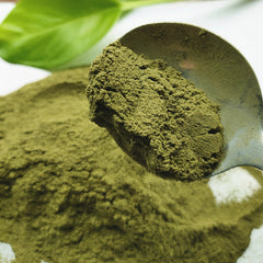 HelloYoung Factory wholesale peppermint powder pure peppermint leaves powdered 17.6oz