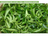 HelloYoung250g New Spring Grade Phoenix Single Longitudinal Tea 100% Natural Health Care Dancong Tea