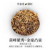 2025 Yunnan Ancient Tree Dianhong Black Tea Premium Authentic Gift Loose Leaf