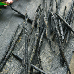 HelloYoung Herbal Tea Bulk Imperial Wild-growing Hainan Kuding Tea Bitter Needle Stalk Tea