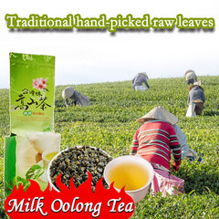 Premium Organic Taiwan Jin Xuan Milk Oolong Tea 250g