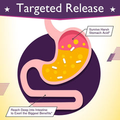 Healthy Lady Probiotic Capsules Probiotic capsule