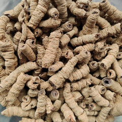 New Baji Tian Chinese Herbs Dried Baji 500g