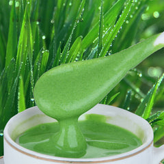 HELLOYOUNG Pure Fresh Green Barley Grass Powder 4KG -100% Pure, Strong Flavour
