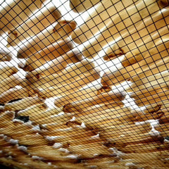 HelloYoung Sand WormDried Seafood High Quality Sea Ginseng Precious Sipunculus Nudus 50g