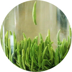 100g Supreme Emei High Mountain Spring Zhu Ye Qing Bamboo Loose Leaf Green Tea