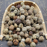 Natural Spices Dried Katsumada Galangal Seed/Alpiniae Katsumadai Semen 250g