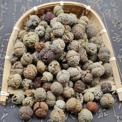 Natural Spices Dried Katsumada Galangal Seed/Alpiniae Katsumadai Semen 250g