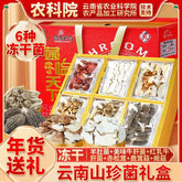 Yunnan Morel & Lion's Mane Freeze-Dried Mushrooms – Chinese New Year Gift
