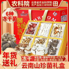 Yunnan Morel & Lion's Mane Freeze-Dried Mushrooms – Chinese New Year Gift