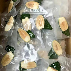 Young BETEL NUTS Areca Frozen (70 pcs) A++Small Size