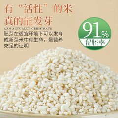 Germinated Unpolished Pearl Rice – Vacuum Sealed Green Food for Porridge