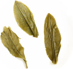 2*250g / 17.6oz Anhui Spring Liuan Guapian Gua Pian Melon Slice Loose Leaf