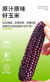 Purple Glutinous Corn Gift Box – Yunnan Specialty Sweet & Soft Corn