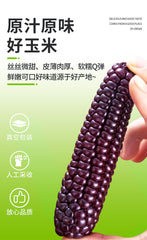 Purple Glutinous Corn Gift Box – Yunnan Specialty Sweet & Soft Corn