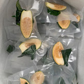 Young BETEL NUTS Areca Frozen (70 pcs) A++Small Size