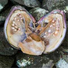 HelloYoung Natural Freshwater Super Fine 400g Pearl Powder Zhenzhufen Health Care