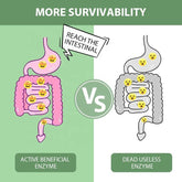 Slimming Tea Enzyme Herbal Powder Flat Belly Lose Weight Detox Juice Tea 6g*12