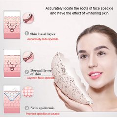 Anti Aging Tea Natural Herbal Skin Whitening Beauty Detox Vitamin Lightening Tea