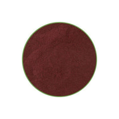 10% Tomato Extract Powder 7 OZ PREMIUM Grade Natural Lycopene