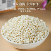 Germinated Unpolished Pearl Rice – Vacuum Sealed Green Food for Porridge