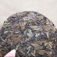 HelloYoung Traditional Craft White Tea Organic Date Fragrant Tea 100g Natural Fuding Tea