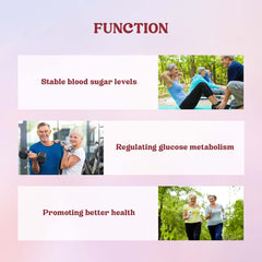 Balance Blood Lipid Sugar Comfort Care Supplement Body Nutrition HealthcareDrops