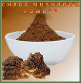 Chaga Mushroom Powder - Premium Quality - Promotes Immune Health