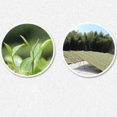 150g Weißer Tee Kuchen Gesundes Getränk Jahr Chinesischer Fuding Weißer Tee