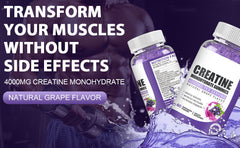 肌酸软糖creatine gummies Workout Fudge Energy Supplement 60 pills