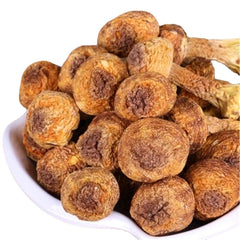 100% Natural Dried Almond Mushroom/ Agaricus Blazei/ Jisongrong 姬松茸 Chinese Herb