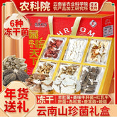 Yunnan Morel & Lion's Mane Mushrooms – Freeze-Dried Gift Box for New Year Treats