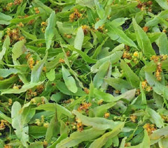 Natural Blossoms Tea Whole Tiliae Flores Dried Linden Flowers Tea 250g