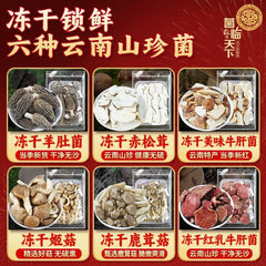 Yunnan Morel & Lion's Mane Freeze-Dried Mushrooms – Chinese New Year Gift
