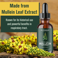 Mullein Leaf Extract Drops Health Care All-natural Ingredients