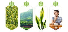 Fabrik Direkt Gesund Tee Oolong Tee Anxi Tie Guan Yin Grüner Tee 50g 正品铁观音乌龙茶