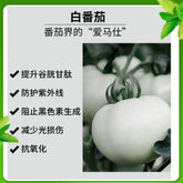White Tomato Extract Powder 99% Concentrated Natural White Tomato Powder