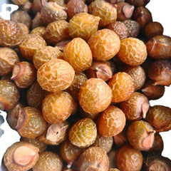 Sapindus indica pericarp herb Sapindus indica pericarp Sapindus indica500g/1.1lb