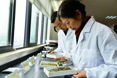 HelloYoung250g Spring Tea Oolong Tea Tikuanyin Tea Tieguanyin tea Green Tea TASTY Tea