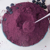 Bilberry Fruit Powder 1.1lb Extract