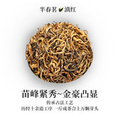 Yunnan Dianhong Tea Ancient Tree Black Tea 2024 New Authentic Gift Tea