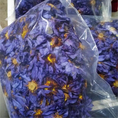 Dried Blue Lotus Flower Tea Blooming Tea Herbal Medicine Bulk Nymphaea 250g