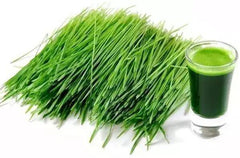 HELLOYOUNG Pure Fresh Green Wheat Grass Powder 2KG -100% Pure, Strong Flavour