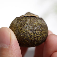 Yunnan Puerh Tea 500g Xinhui Xiaoqingguan (RX) Palace Puerh Ripe Tea