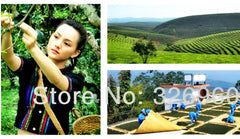 HelloYoung200g Yunnan Chen Xiang Ya Yun Puerh Tea Eco Puer Ripe Tea Pu Er Tea Green Food