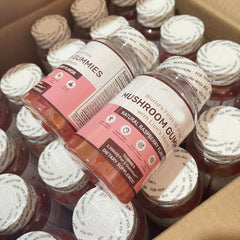 Brain Booster Focus Memory Improvement Mushroom gummies 60 Capsules