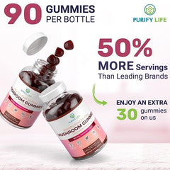 Brain Booster Focus Memory Improvement Mushroom gummies 60 Capsules